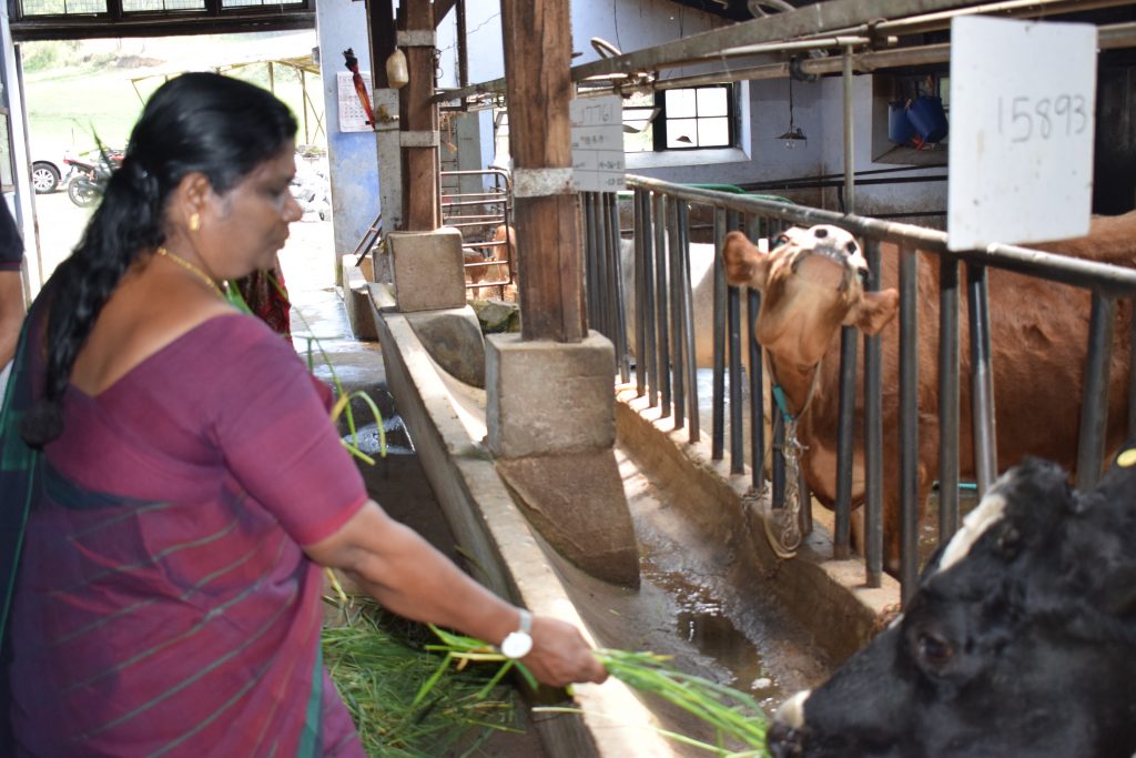 Kerala Livestock Development Board – A Government of Kerala Undertaking